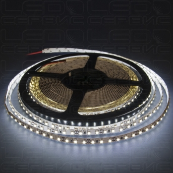 Светодиодная лента LS120 3528 IP20 холодный свет-01