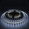 Светодиодная лента LS60 5730 IP20 холодный свет-01