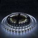 Светодиодная лента LS60 5630 IP20 холодный свет