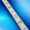 Светодиодная лента LS60 5050 IP68 холодный свет Premium-02