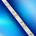 Светодиодная лента LS120 3014 IP20 холодный свет-02