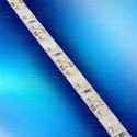 Светодиодная лента LS120 3528 IP55 холодный свет-02