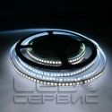 Светодиодная лента LS192 2835 24V IP20 холодный свет Premium-01