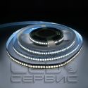Светодиодная лента LS240 2835 IP20 холодный свет Premium-01