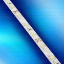 Светодиодная лента LS60 2835 IP55 холодный свет-02