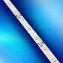 Светодиодная лента LS60 3528 IP20 холодный свет-02
