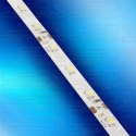 Светодиодная лента LS60 3528 IP55 холодный свет-02