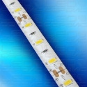 Светодиодная лента LS60 5730 IP55 холодный свет-02
